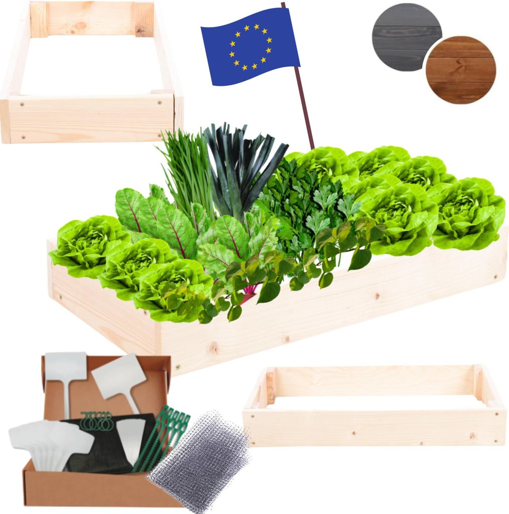 MODO24 Hochbeet Holz, Pflanzkasten, Massivholz, Kiefer, Kräuterbeet, Blumenkasten, Garten, Terrasse, 9x60x30 cm, Natur imprägniert, ZP09