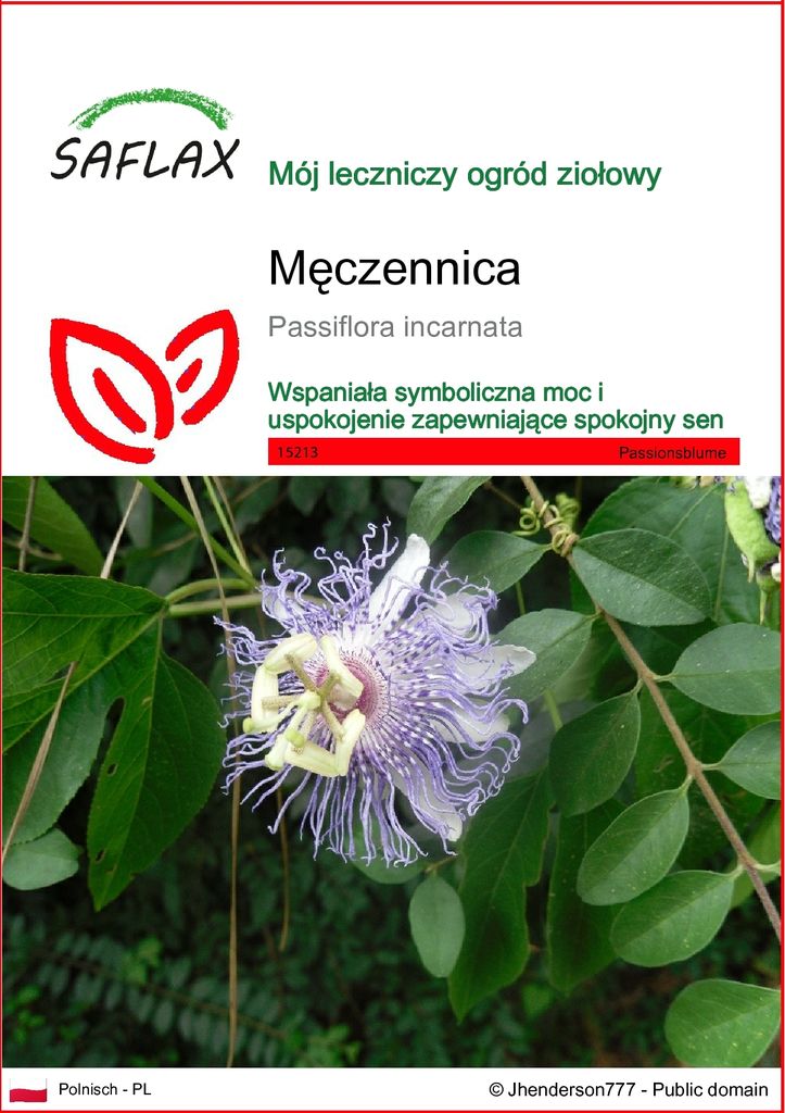 SAFLAX - Męczennica - 5 Nasiona - Passiflora incarnata Zdjęcie produktu 