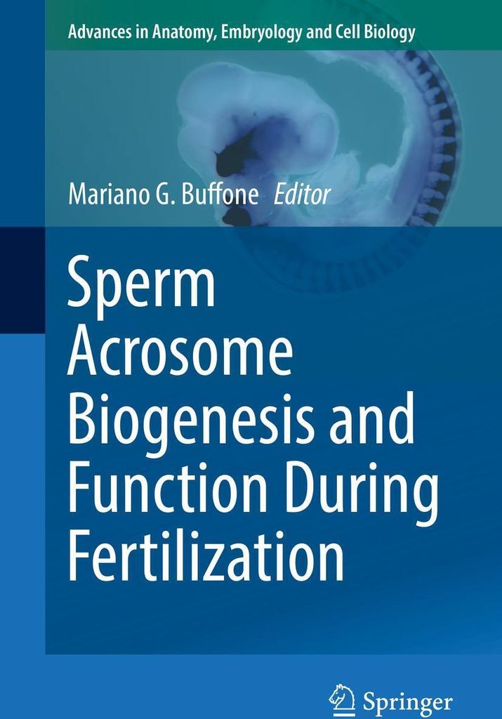 Sperm Acrosome Biogenesis and Function During Fertilization