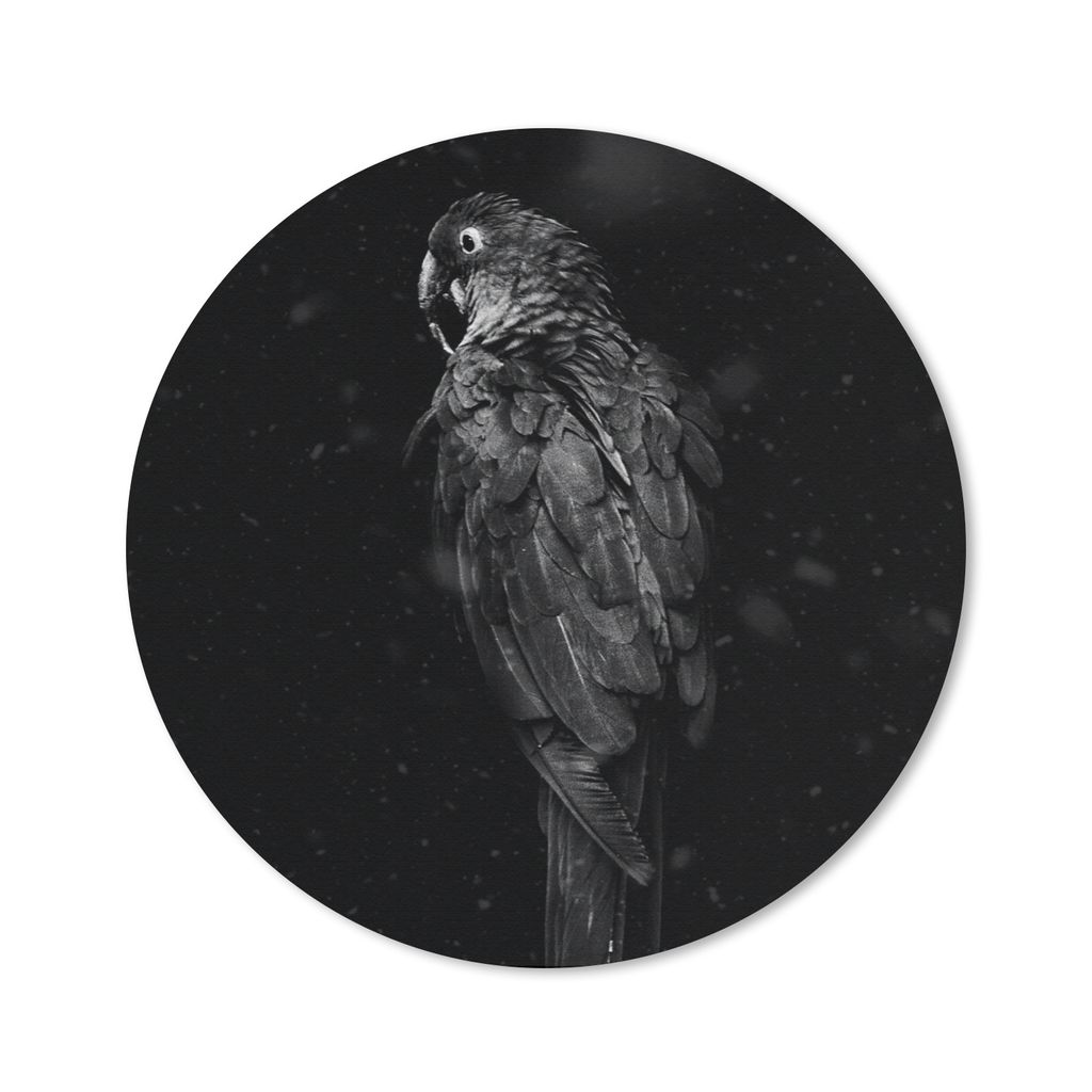 MuchoWow Mauspad Mousepad Rückansicht eines goldenen Papageis auf schwarzem Hintergrund - schwarz und weiß 40x40 cm - Mousepads - Maus Mat - Pa...