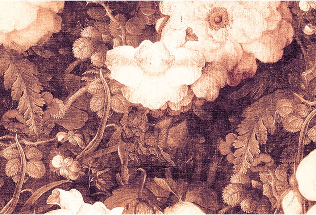 Tadessi Fototapete | Blumen | 4.00 m x 2.70 m | Orange | Weiß | Wandbild | Digitaldruck