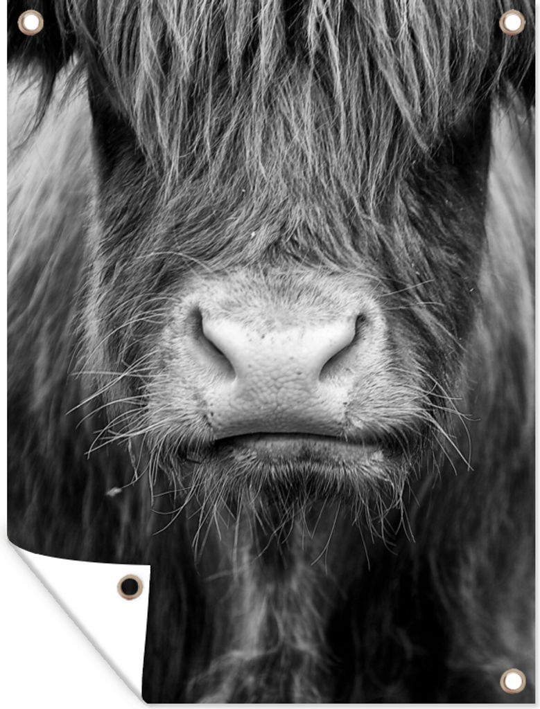 MuchoWow 30x40 cm Outdoor-Poster Gartendeko Sichtschutz Garten Poster für den Garten Schottischer Highlander - Haare - Tiere