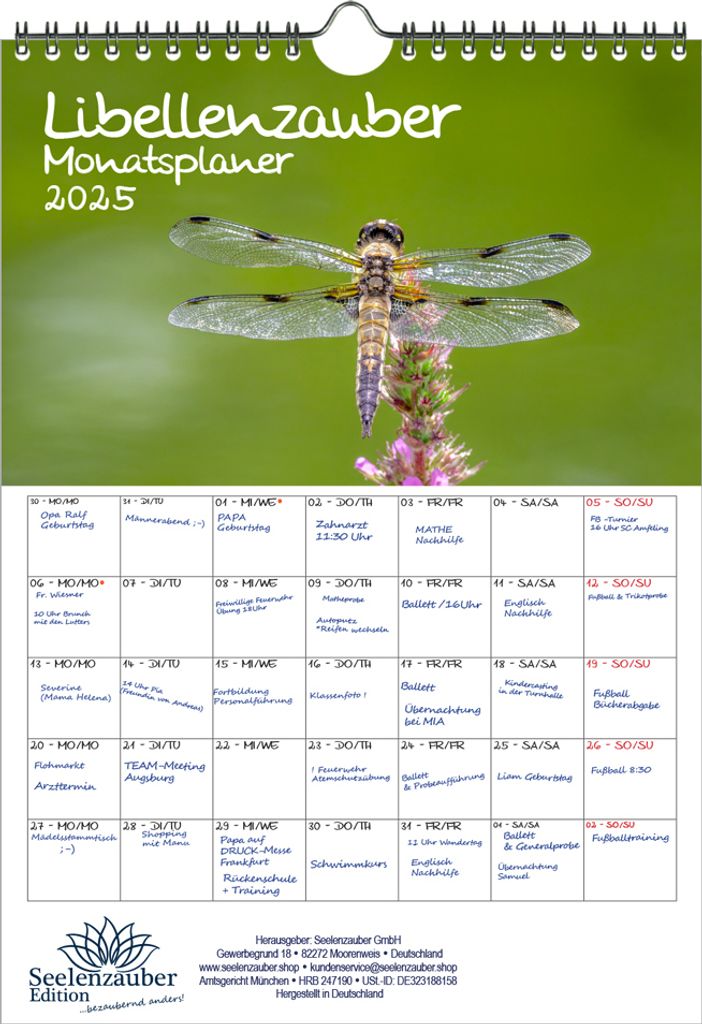 Libellenzauber Planer DIN A4 Kalender für 2025 - Seelenzauber