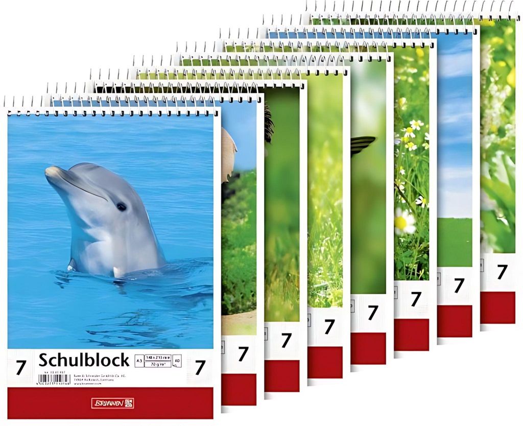 Brunnen 1041907 Schulblock Lineatur 7 (A5, 40 Blatt, 7 mm kariert)