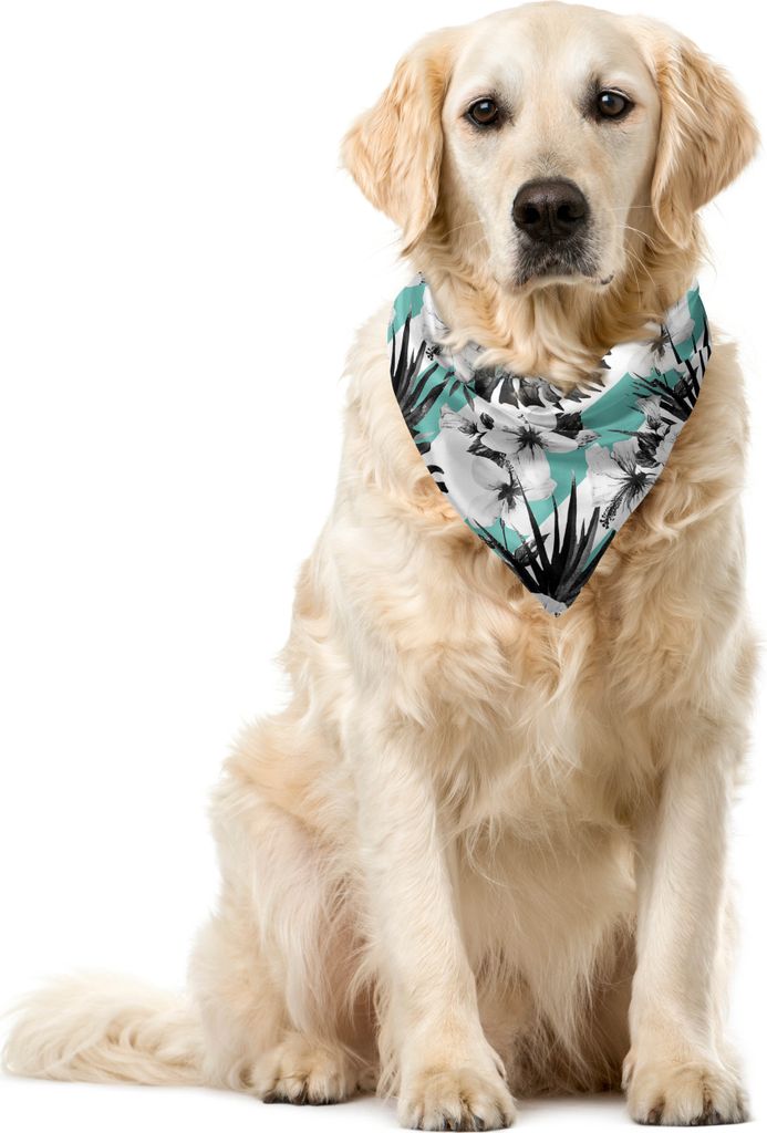 ABAKUHAUS Hawaii Haustier Bandana, Aquarell-Hibiscus-Streifen, 55x55 cm, Seafoam Koksgraue