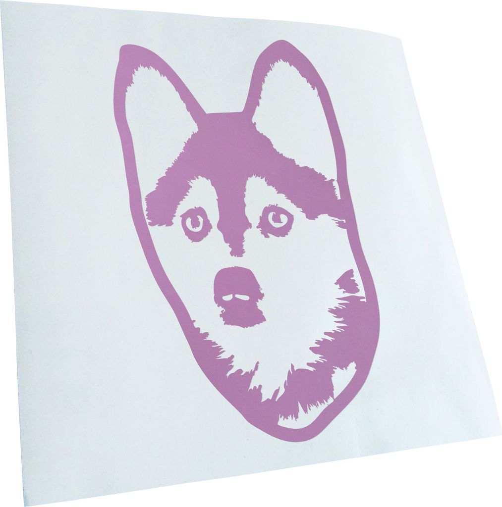 Kiwistar - Autoaufkleber - Pomsky Hund - Flieder - 40x24cm - Aufkleber für Auto, Laptop, Fahrrad, LKW, Motorrad mehrfarbig JDM Decal Racing