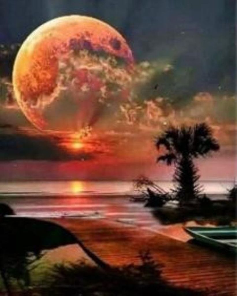 NORIMPEX Malen nach Zahlen Red Moon über dem Housezierz 40 x 50 5618