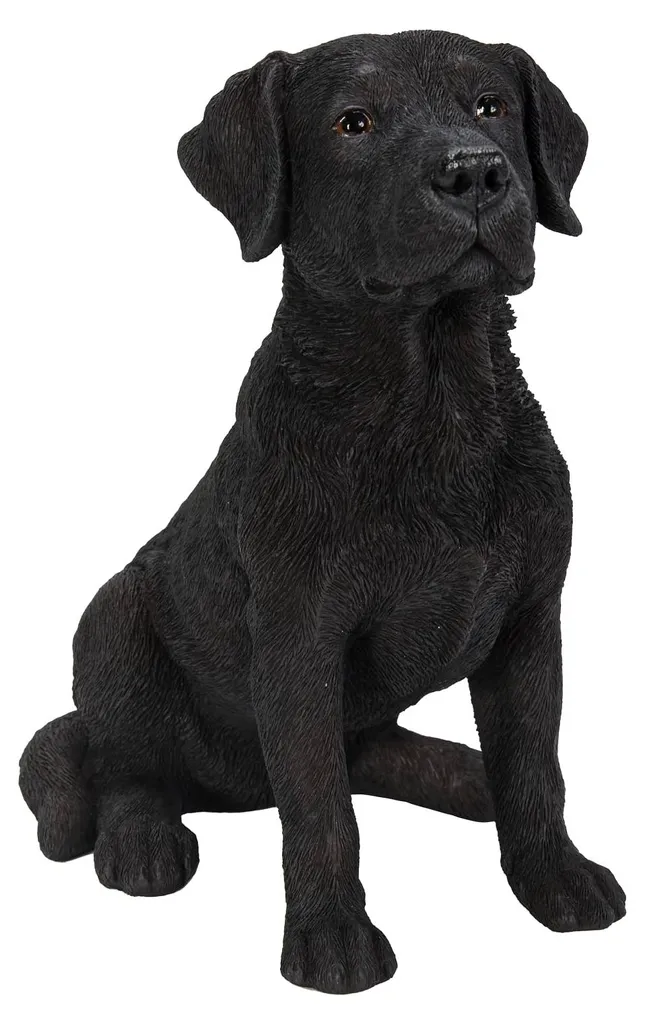 Boîtier de Transport pour Capteur Labrador XLR-BLAB-D - Résine Noire