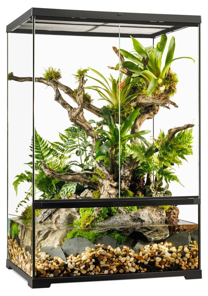 Exo Terra Pro Paludarium M X-tall Terárium 60x45x90 cm Obrázok produktu 