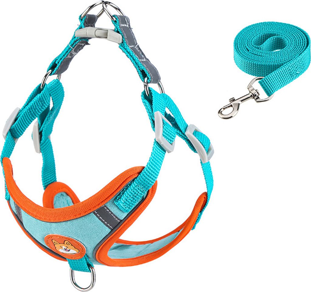 Hundegeschirr mit Leine, reflektierend & atmungsaktiv, verstellbar für Outdoor-Spaziergänge, Seeblau Gr.M