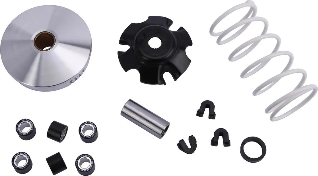 Kit Variateur Sport Malossi pour Scooter Piaggio et Honda Lead 50cc