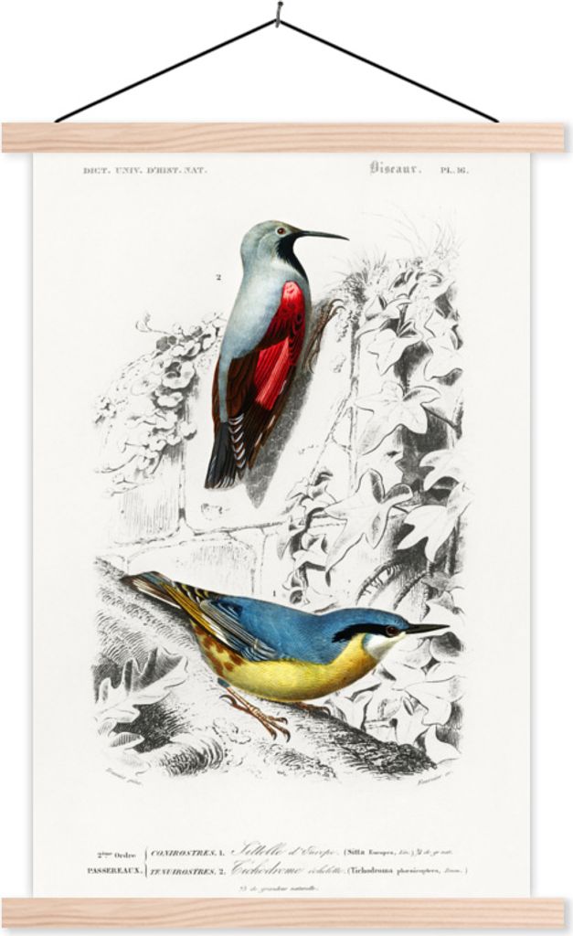 MuchoWow Textilposter Vogel - Vintage - Zweig 40x60 cm mit holzfarbenen Rahmen - Poster