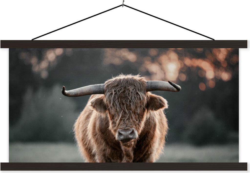 MuchoWow Textilposter Schottisches Hochlandrind - Tier - Sonnenuntergang 150x75 cm mit schwarzem Rahmen - Posterleiste