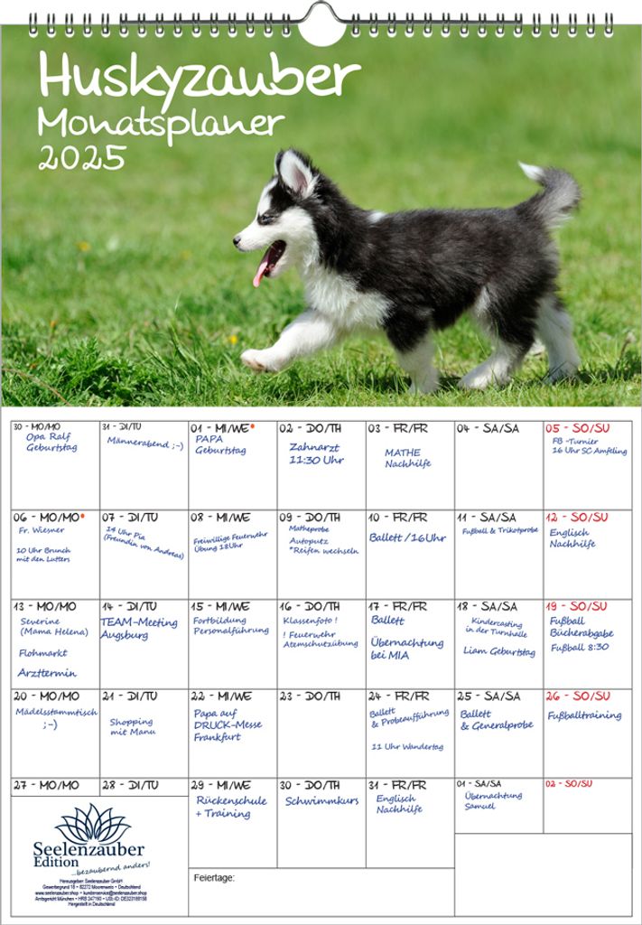 Huskyzauber Planer DIN A3 Kalender für 2025 Hunde Husky - Seelenzauber