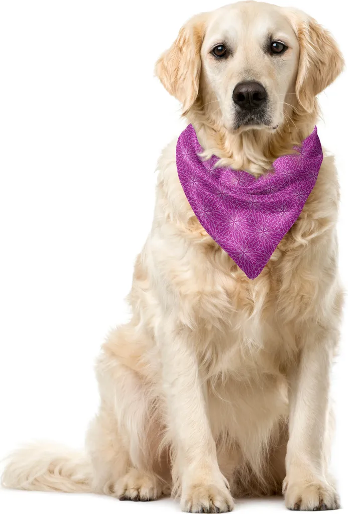 Bandana ABAKUHAUS Pet Fucsia Pizzo - Per Cani che se la Tirano!