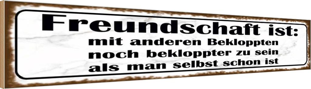 vianmo Holzschild 10x46 cm Freundschaft ist noch bekloppter Spruch Zitat