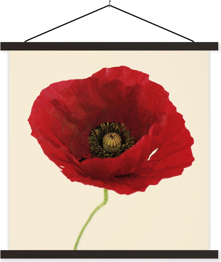 MuchoWow Textilposter Nahaufnahme einer roten Mohnblume 40x40 cm mit schwarzem Rahmen - Fotos