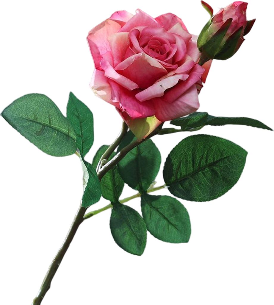 Realistisches Aussehen ohne Wasser-Simulation Blume 2 Köpfe feuchtigkeitsspeiserte Rosenblütenblätter künstlicher Strauß Hochzeitszubehör-Dun...