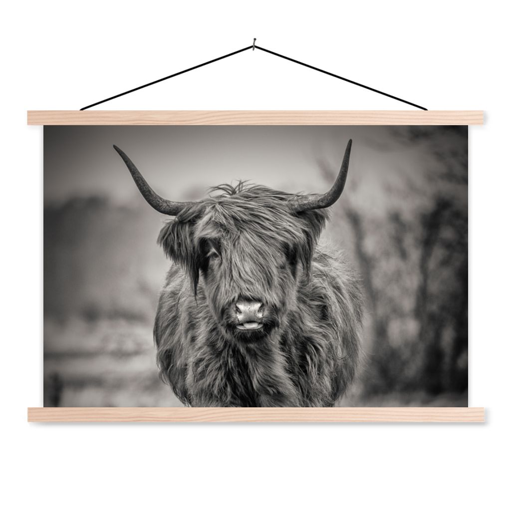 MuchoWow Textilposter Schottischer Highlander - Schwarz und Weiß 60x40 cm mit holzfarbenen Rahmen - Bilder