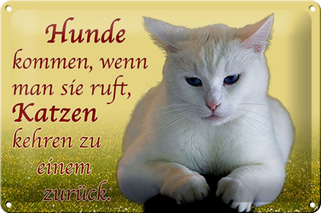 Blechschild Spruch 30x20cm Hunde kommen Katzen kehren zurück