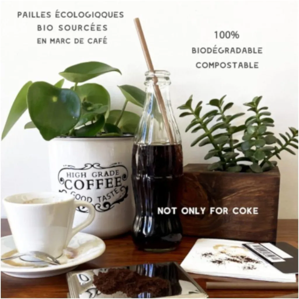 Paille en Marc de Café 21 cm - 100% Biosourcée et Rigide - Boîte de 400 - 3