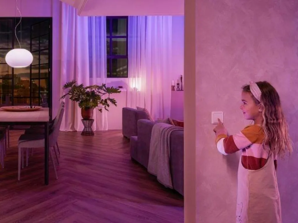 Module interrupteur mural encastrable pour système Philips Hue connecté - 18