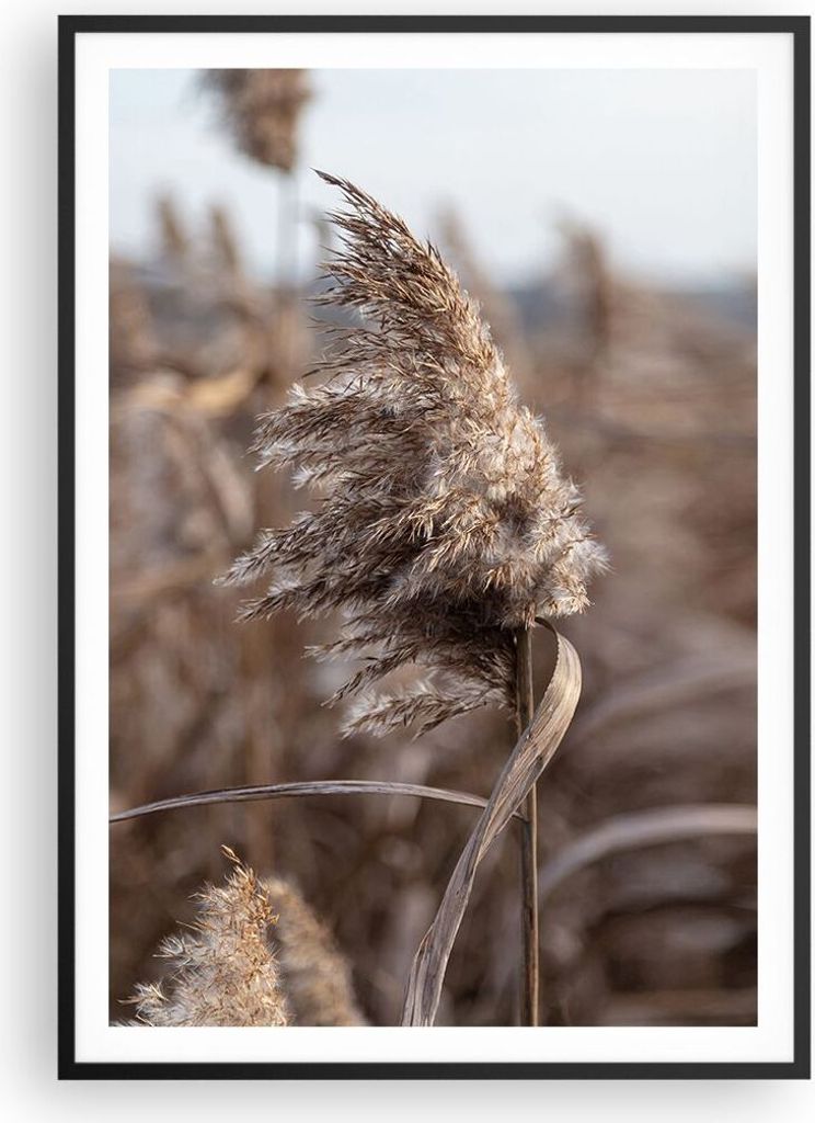Gerahmtes Poster - Schwarzer Rahmen - Boho Ähren Gras - 70x100 cm - Wand Bild - Wanddeko - Wandbilder - Kunstposter - Wandposter - Bilderrahmen - ...
