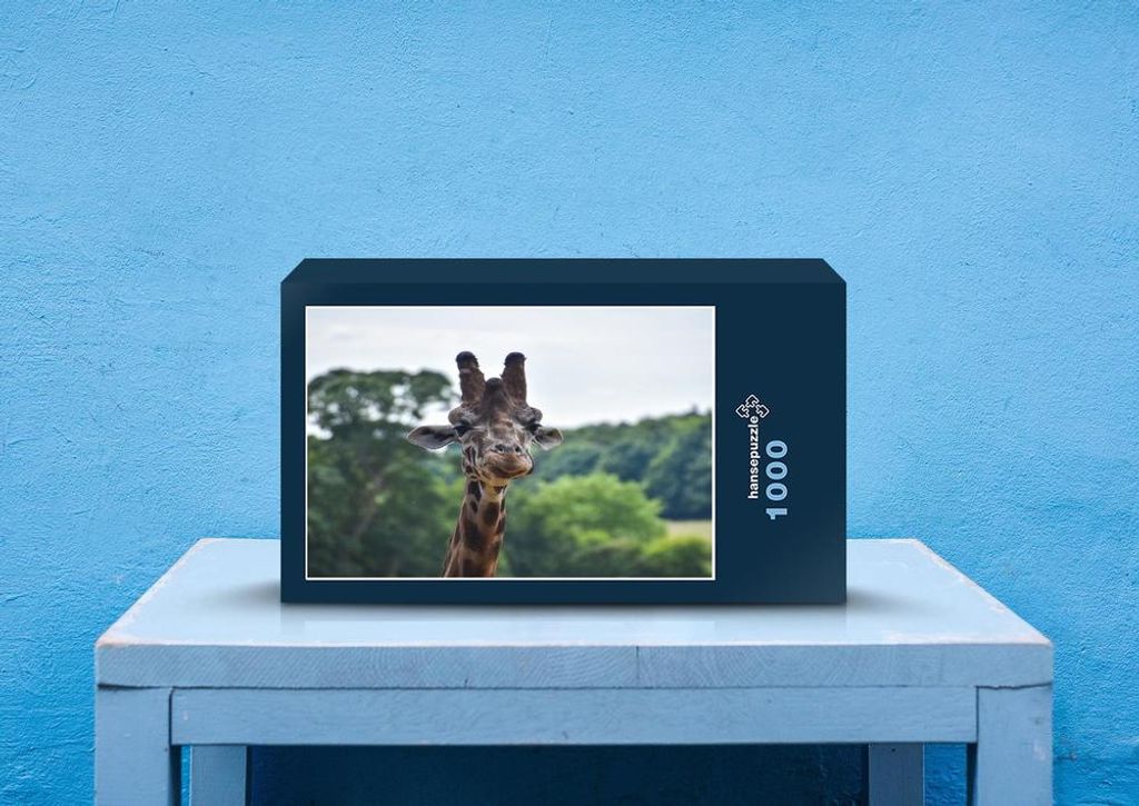 hansepuzzle 82190 - Giraffe Puzzle, 1000 Teile, Tierwelt, 60,0 x 46,0cm mit hochwertiger Aufbewahrung, Kartonbox und wiederverschließbarem Beutel