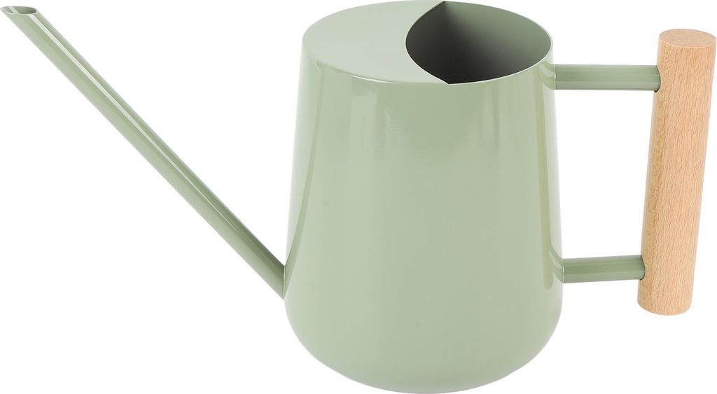 Gießkanne Edelstahl Gießkanne mit Holzgriff für Sukkulenten Pflanze Typ 2