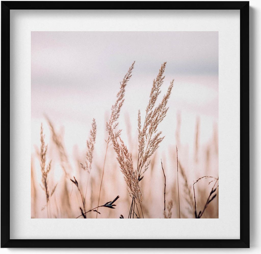Natur Gras Boho-Stil– Wandbild mit Rahmen – Gerahmtes Bild – Wanddekoration – 50x50 cm – Schwarz Rahmen