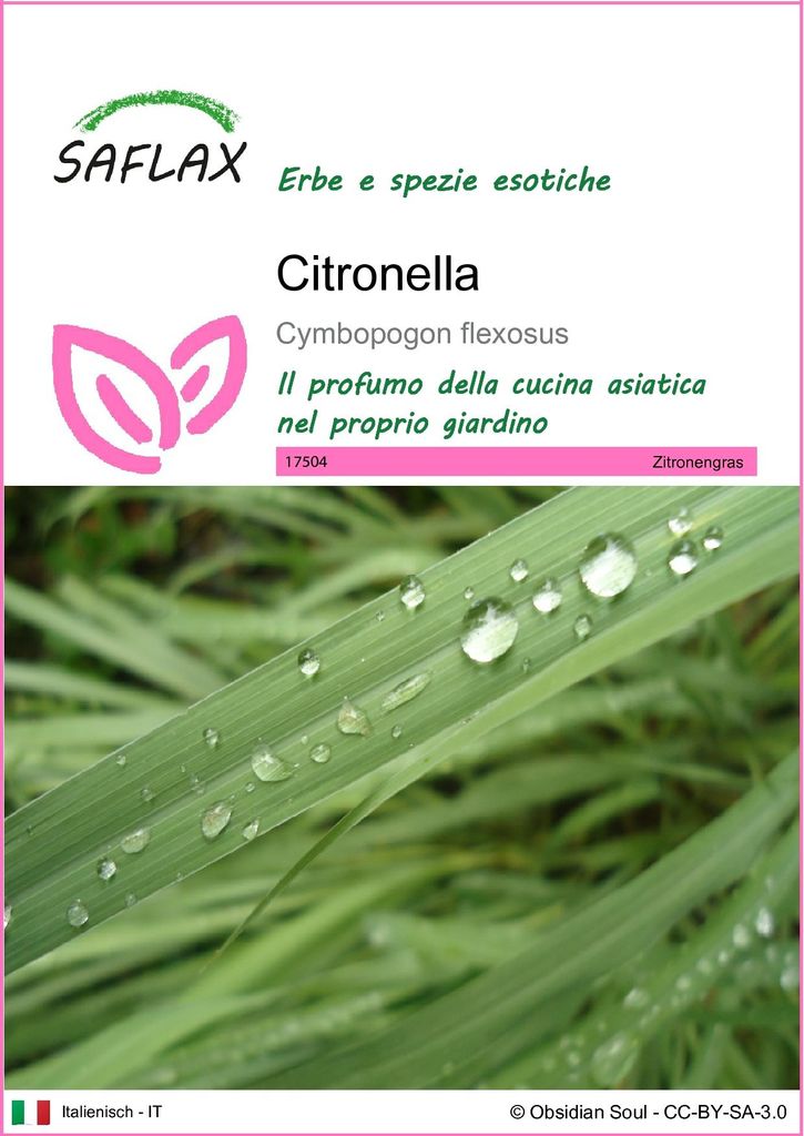 SAFLAX  - Citronella - 50 semi - Cymbopogon Immagine del prodotto 