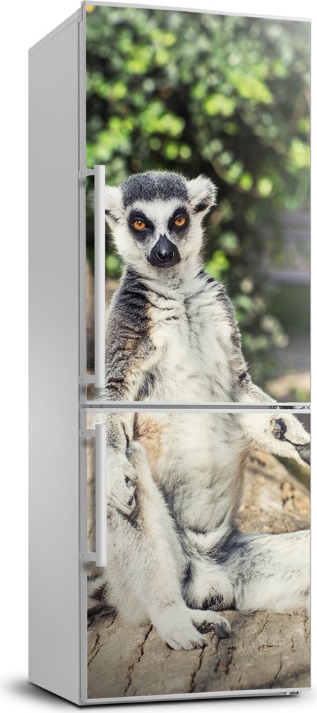 Tulup Kühlschrankdekoration - 70x190 cm - Aufkleber auf dem Kühlschrank - Lemur