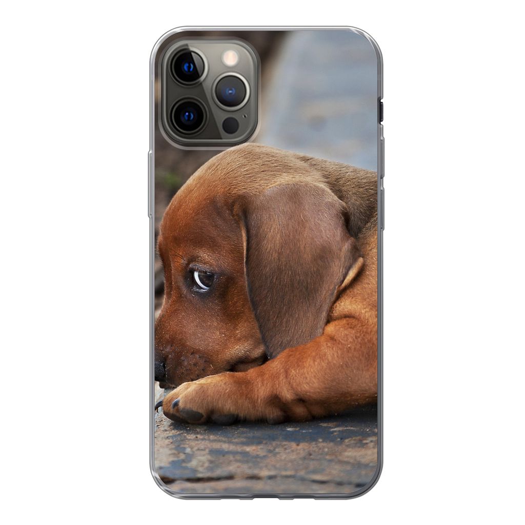 MuchoWow Handyhülle Schutzhülle Hülle für iPhone 12 Pro Dackelwelpe liegt am Rande des Bürgersteigs Silikon Softcase Handy Hülle - Abdeckung