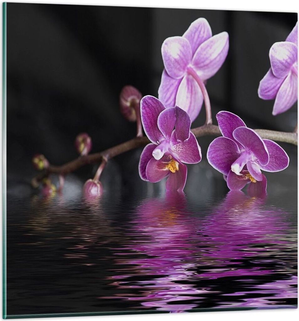 Bilder auf glas - Asien exotisch orchidee blume - 70x70cm - Glasbilder - Wandbilder - Kunstdruck - zum Aufhängen bereit - Wanddekoration aus Glas ...