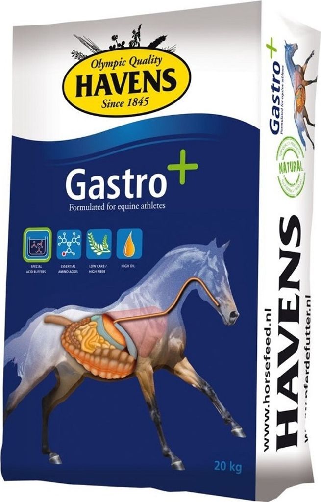 Havens Gastro+ Kraftfutter für Pferde mit empfindlichem Produktbild 