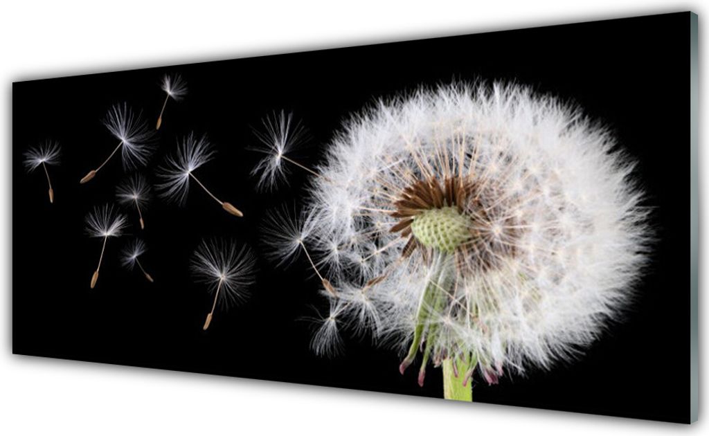 Glasbilder 125x50 Wandbild Druck auf Glas Pusteblume Pflanzen