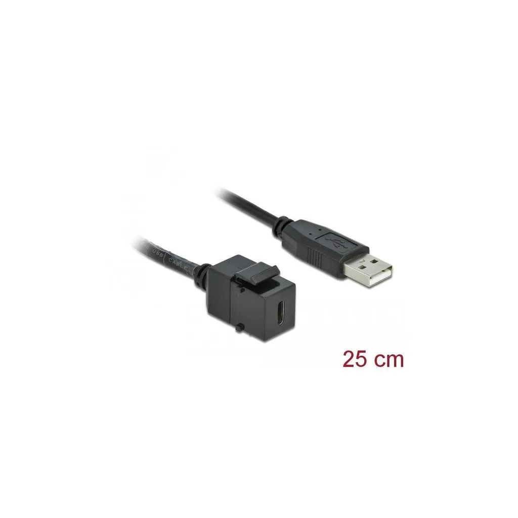 Modulo Keystone USB-C per PC Case e Patch Panel Delock 25cm - 2