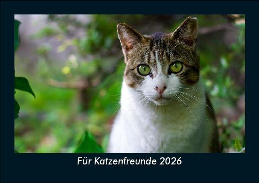 Für Katzenfreunde 2026 Fotokalender DIN A5