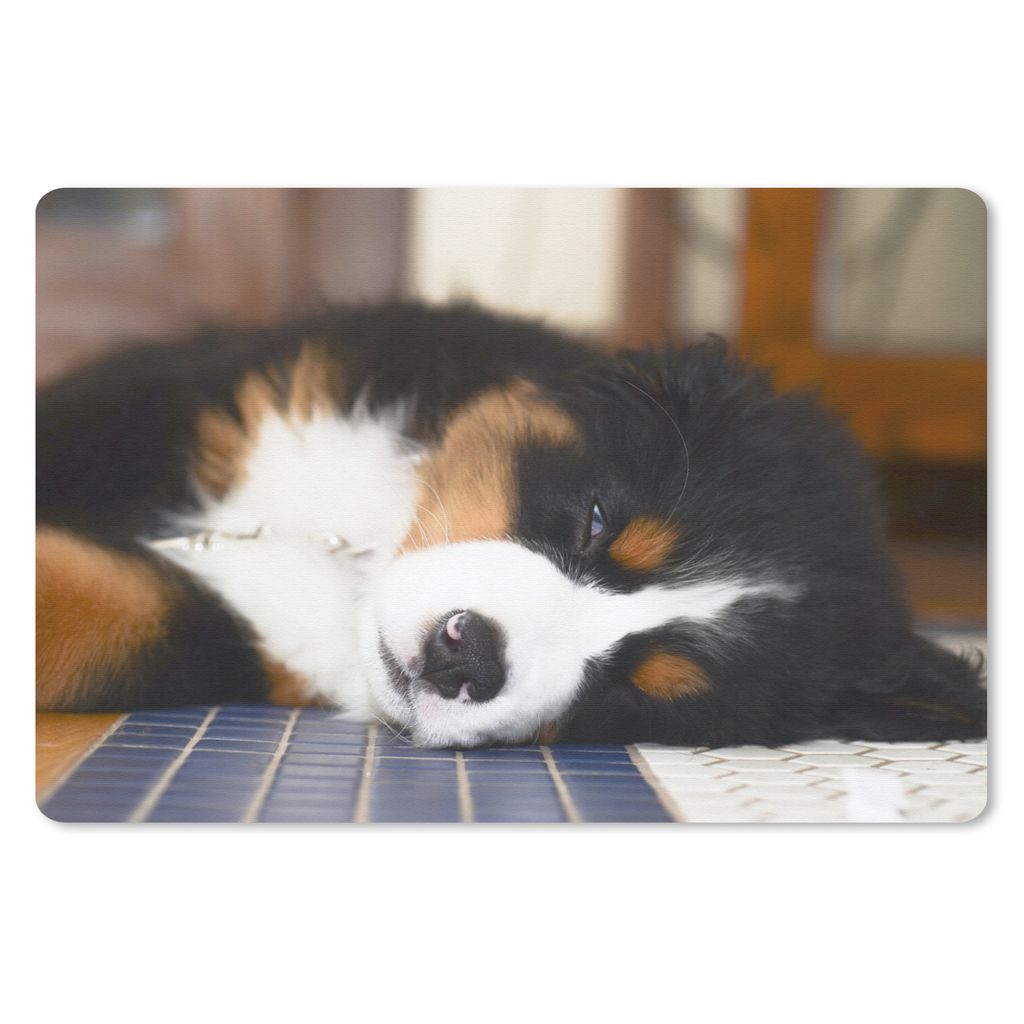 MuchoWow Mauspad Mousepad Liebenswerter Berner Sennenhund schläft ein 27x18 cm - Mousepads - Maus Mat - Pad - Mausunterlage - Büroartikel - Des...