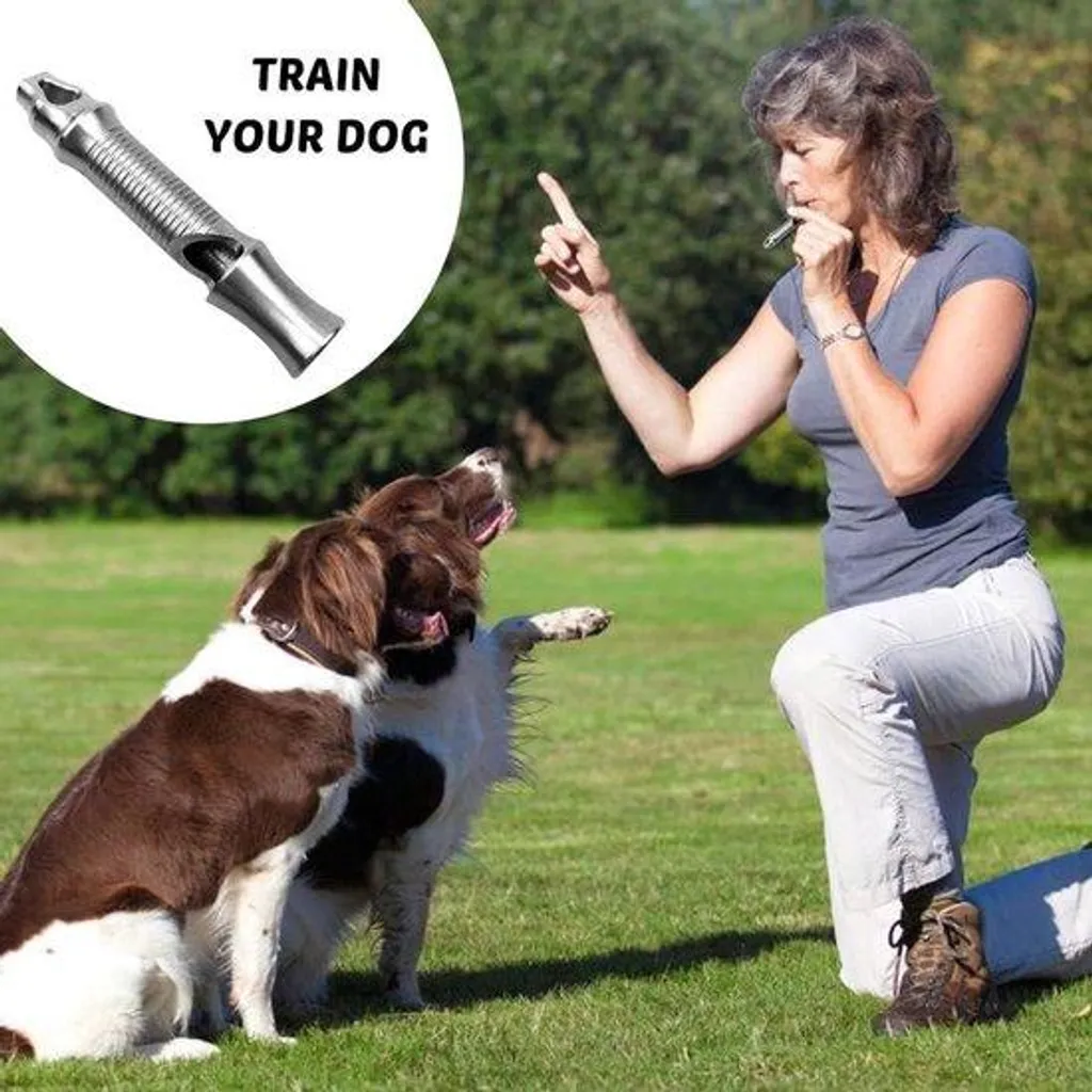 Appareil de dressage pour chiens spécial randonnée et camping 120 dB