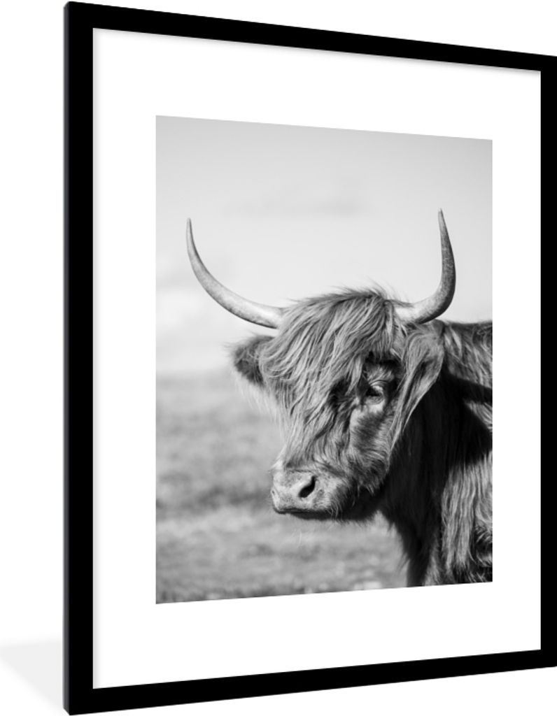 MuchoWow Gerahmtes Poster Schottischer Highlander - Tiere - Schwarz - Weiß 60x80 cm - Poster mit Schwarzem Bilderrahmen Wandposter Rahmen Foto B...
