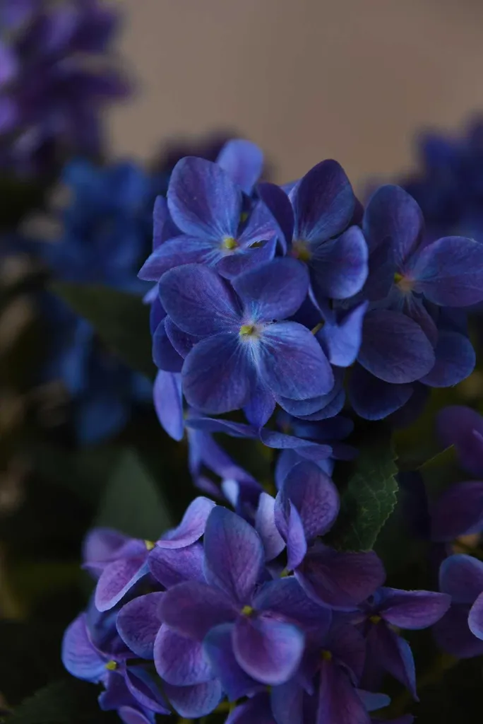 VIVANNO Ortensia Blu Artificiale con Vaso 60x60 cm - Decorazione Realistica - 4