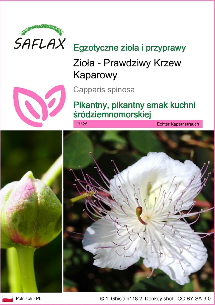 SAFLAX - Zioła - Prawdziwy Krzew Kaparowy - 25 Nasiona - Zdjęcie produktu 