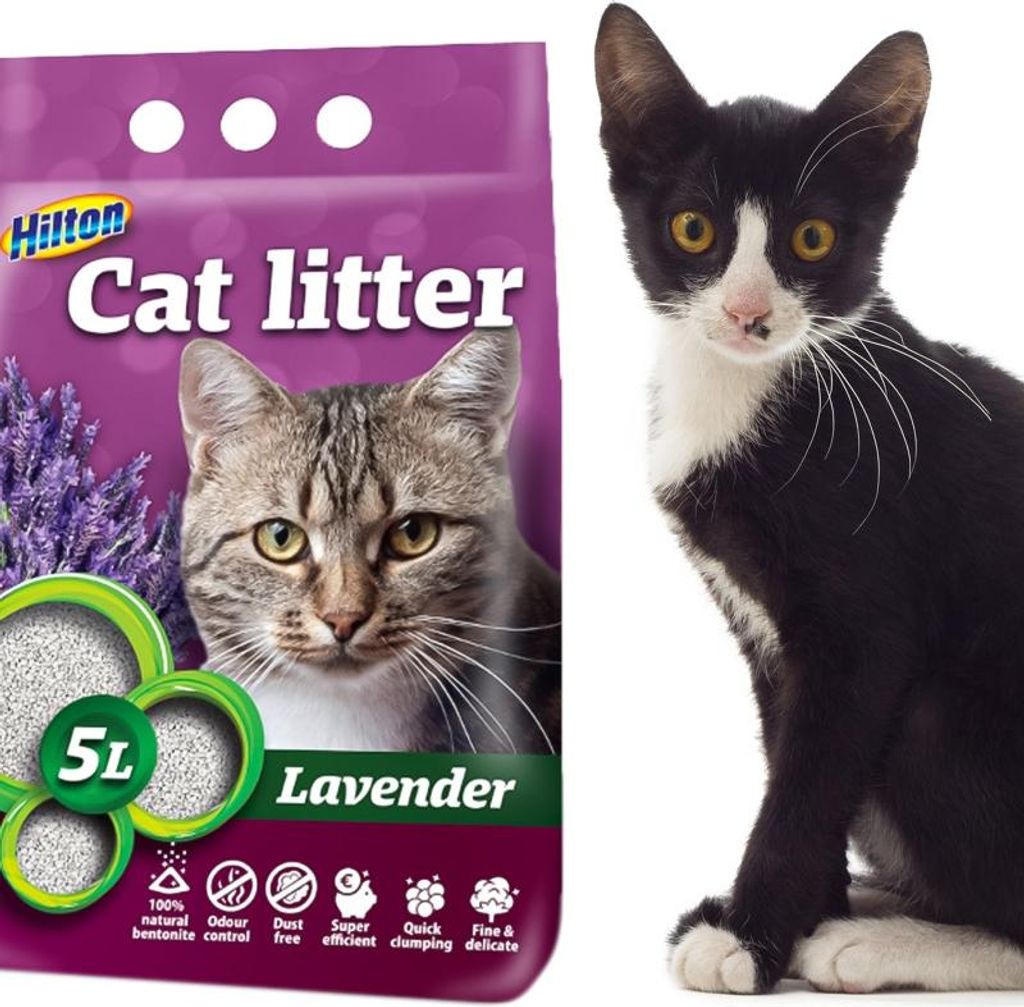 HILTON Bentonit Lavendel klumpendes Katzenstreu - 5 l