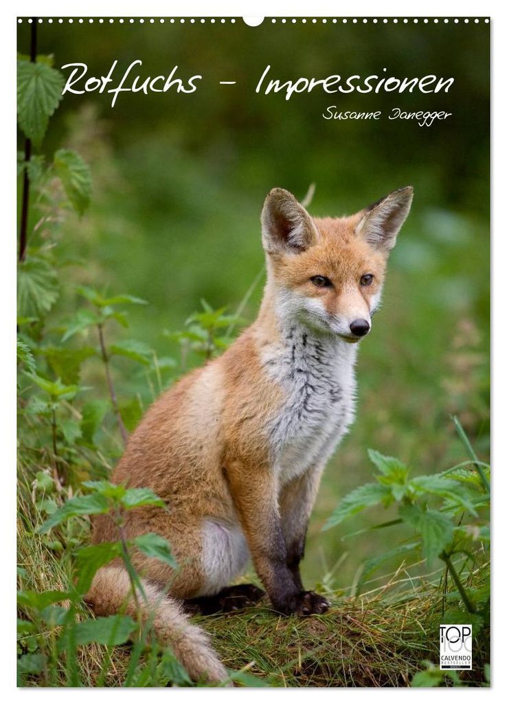 Rotfuchs - Impressionen (Wandkalender 2027 DIN A2 hoch), CALVENDO Monatskalender