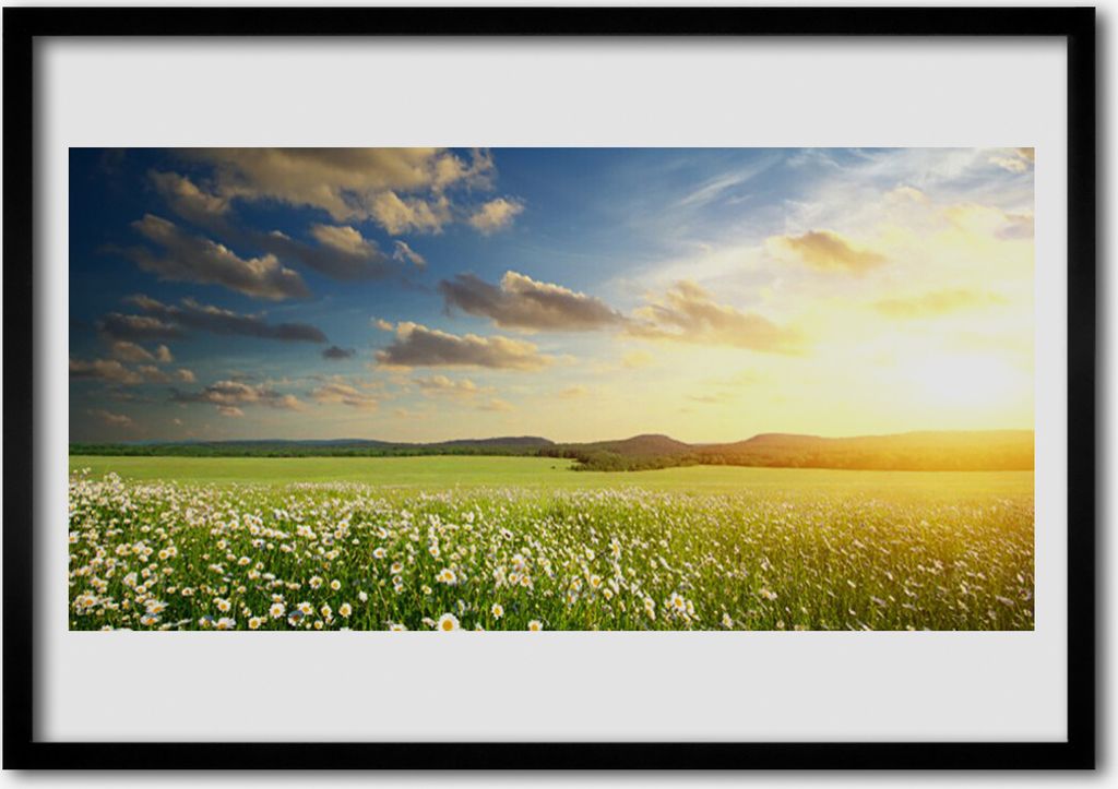 Bild 100x70 MDF-Rahmen Wandkunst Blumen Wiese Landschaft