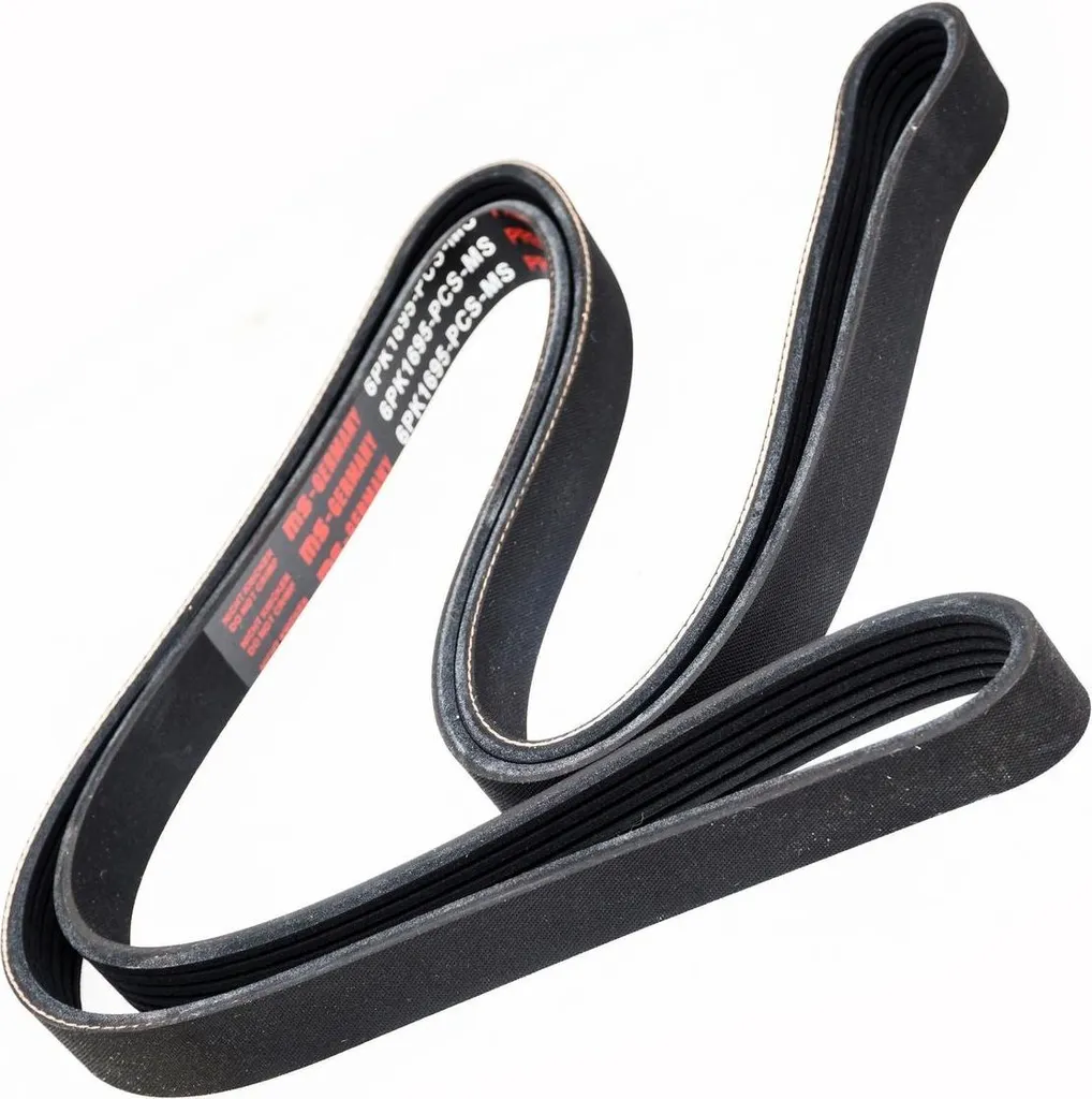 Courroie crantée MS 6PK1695 haute résistance pour Citroën Berlingo