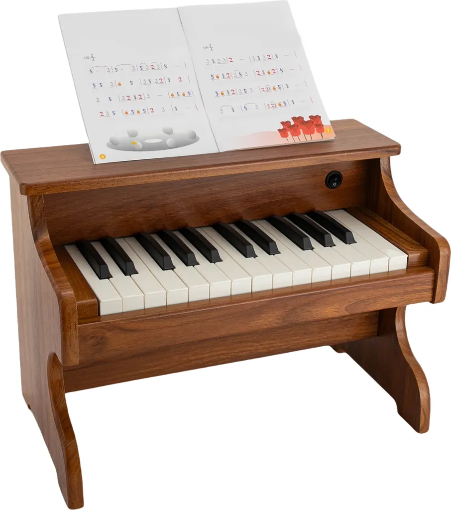Apprendre le piano facilement : Modèle bois 25 touches pour débutant