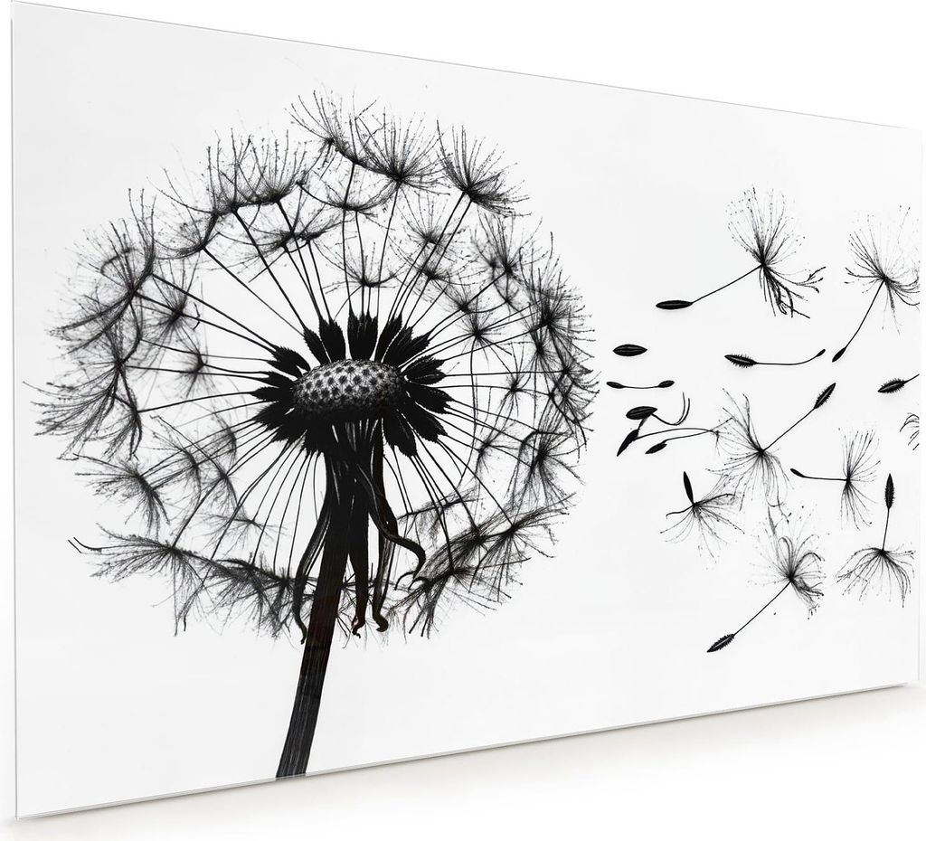 Küchenrückwand Spritzschutz Glas mit Motiv Pusteblume 40 x 40 cm
