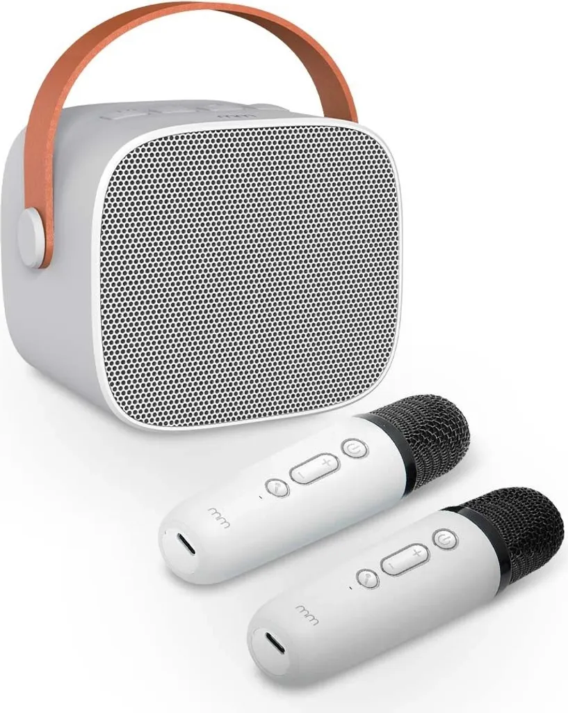 Système Karaoké portable 2 micros et enceinte sans fil rechargeable